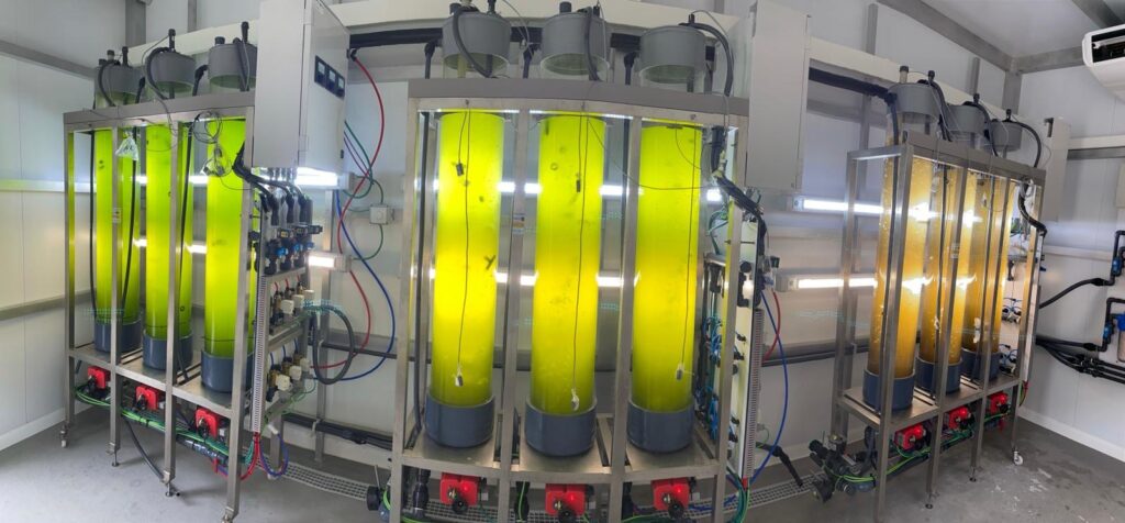 Grado en Biotecnología